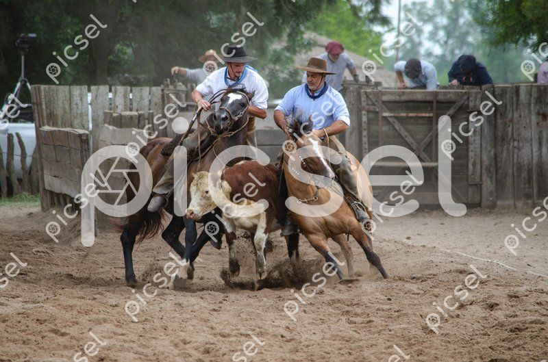 Photo of ei1ux548gdlqyei9hl5yck6u