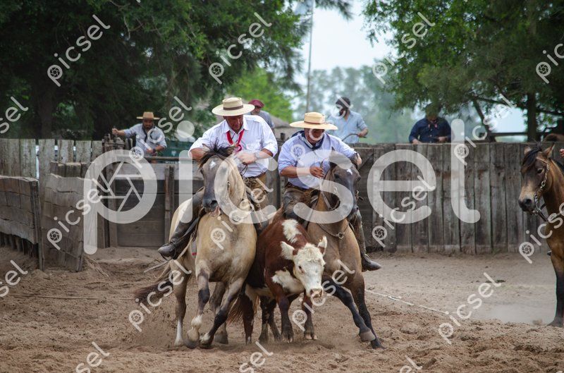 Photo of a6161ghx2idu8i5cteo3j3ye