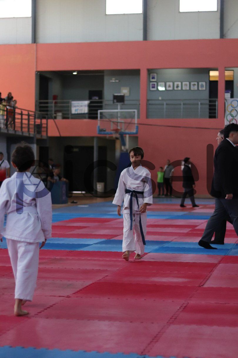 Photo of ss30qtea54wral9ls6hcj8of