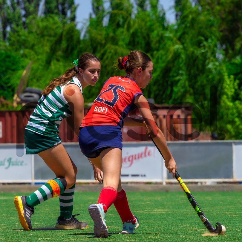 Photo of yftnwgx7vswwsj8bncln51pz