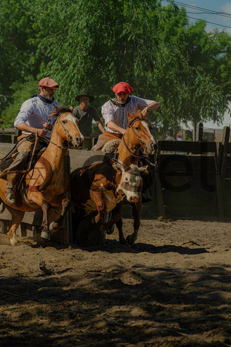 Photo of flgojsq66z6lqtk3kksaabrg