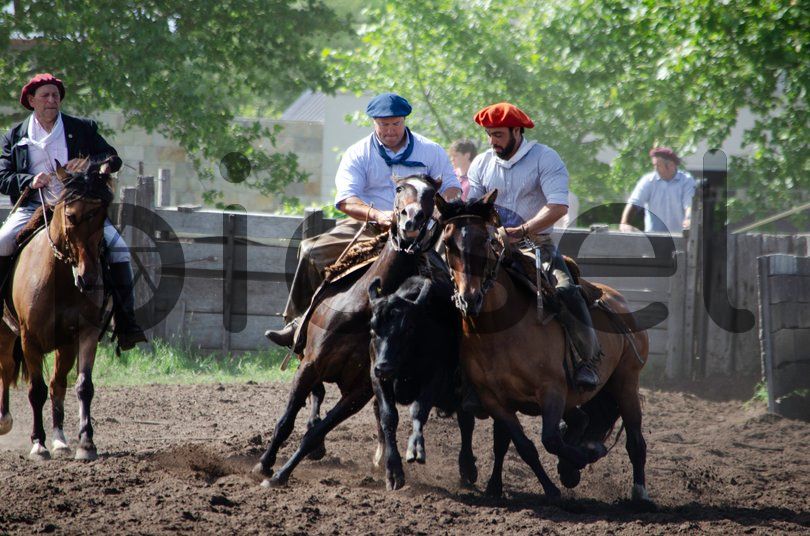 Photo of ai6eflobj0n3ykyzhlop86yk