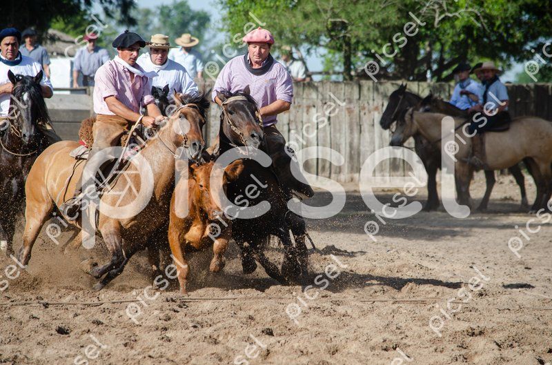 Photo of y9xmtsfik81cio6fdwh7jl25