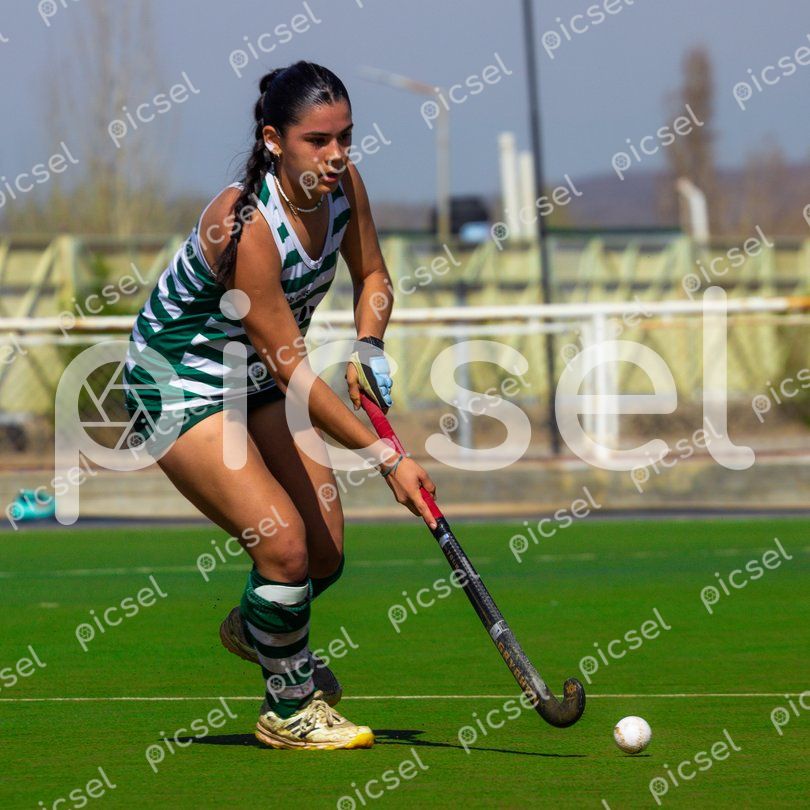 Photo of uy79yxc5jmfz9qcsn13oq31a