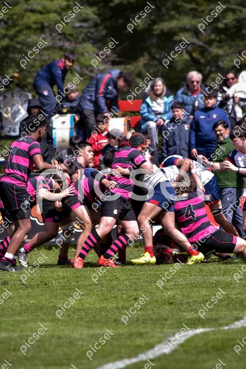 Photo of peuk4kp8hk5vlo7dhqu6h6lk