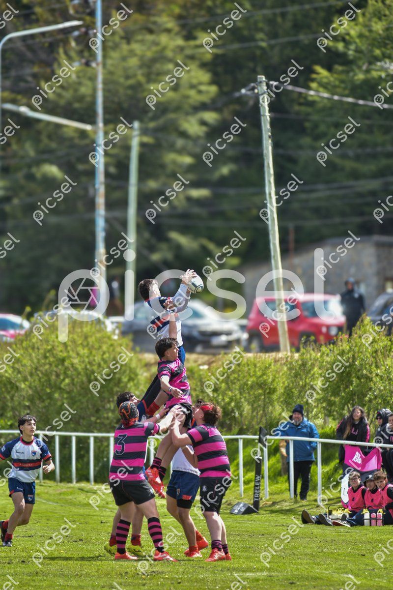 Photo of qxj5cjjder1sngol0jnz7gtl