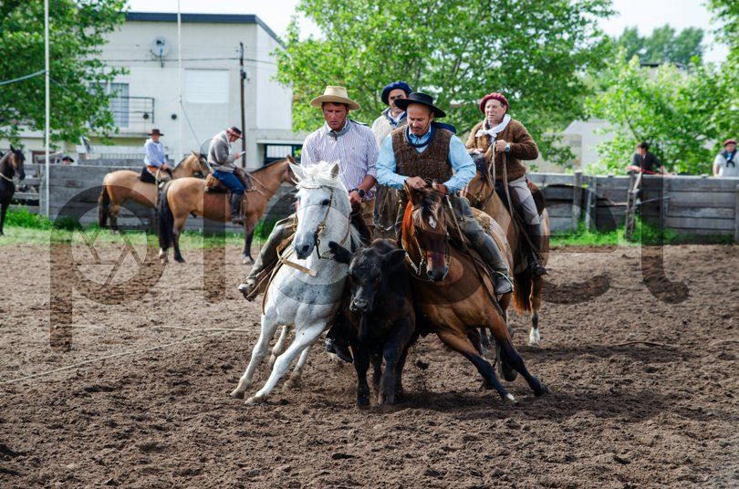 Photo of qm8xx2c6ovht7whs62xg46zz