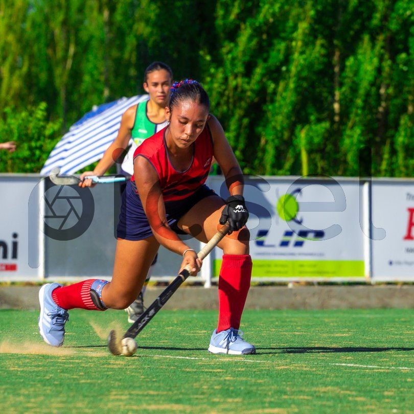 Photo of zff6hefwidkbw8dtkh1qdp4t