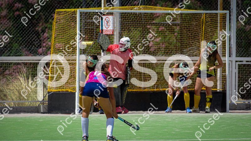 Photo of faxf4yxdon9bnuq6v0zzuj4g