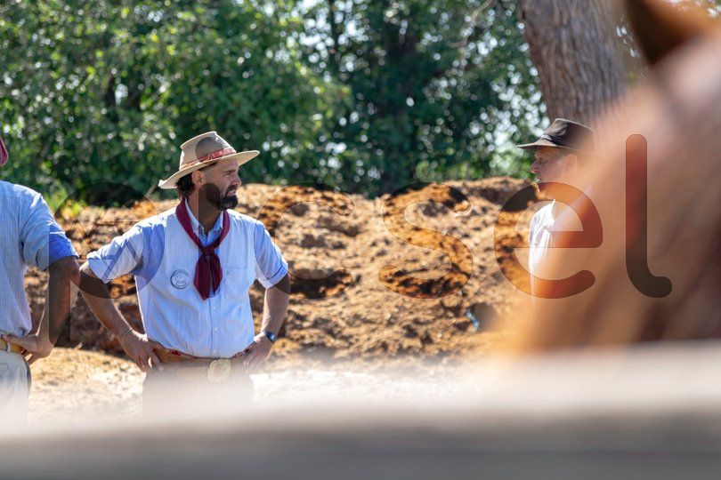 Photo of tc0xscp2khsye7ozrilhmavu