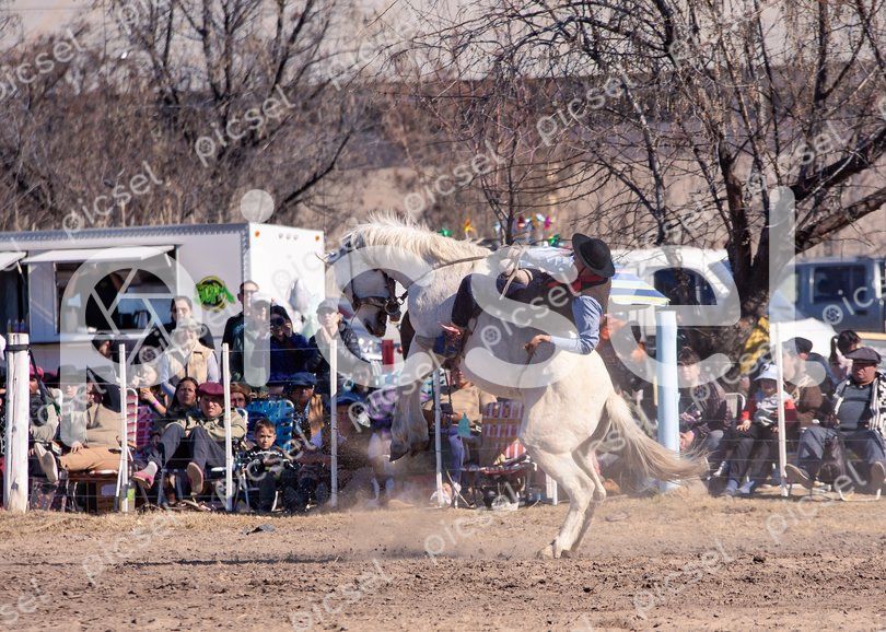 Photo of v27i0ps226gkqshk51mb4t4z