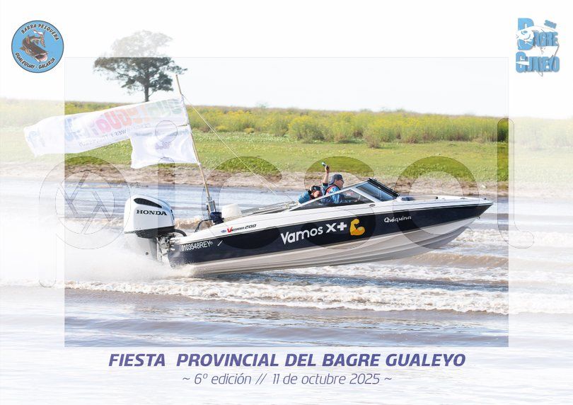 Photo of g6135197w478gydtqwzzh8aj