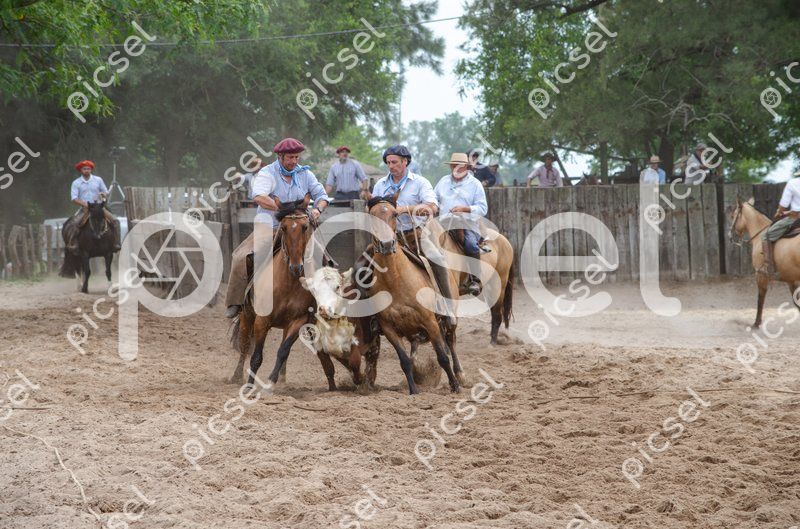 Photo of rcj732zmnb7i8mjw7dcpcsqv