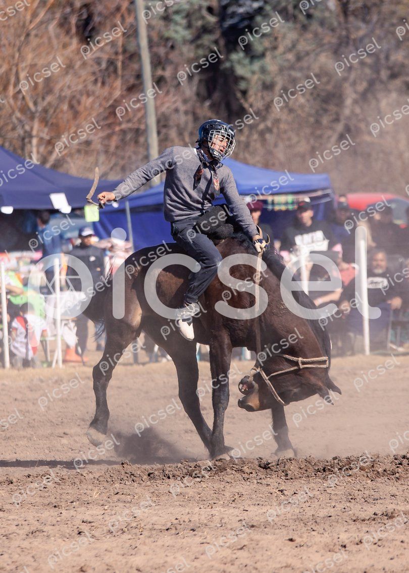 Photo of gtn7vrykgvl7av9pn36oa9bl