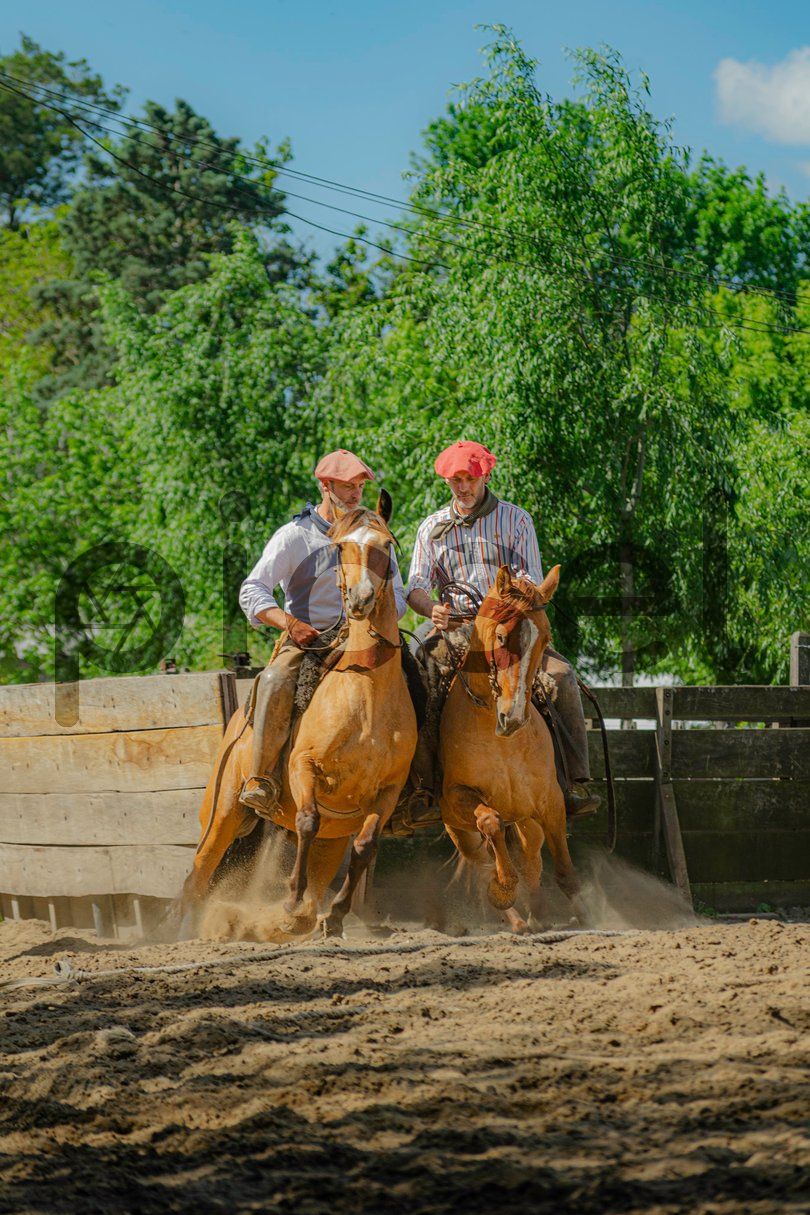 Photo of yex2d7ejzwowhem4dn0983z6