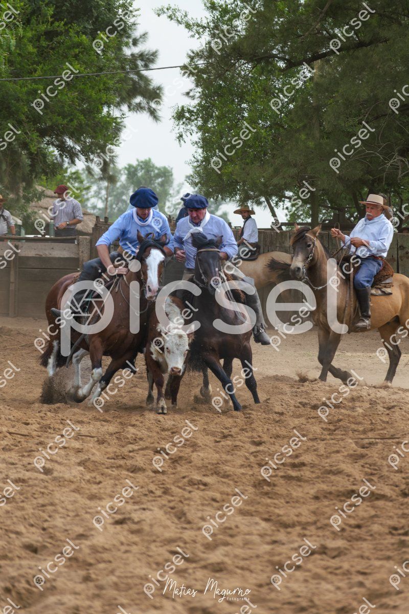 Photo of e2a5hv156ung19yryarahpf5