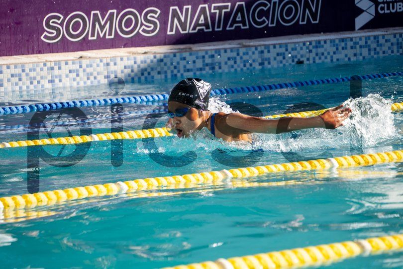 Photo of narysvn6x4w1mlp26yyjk1x6