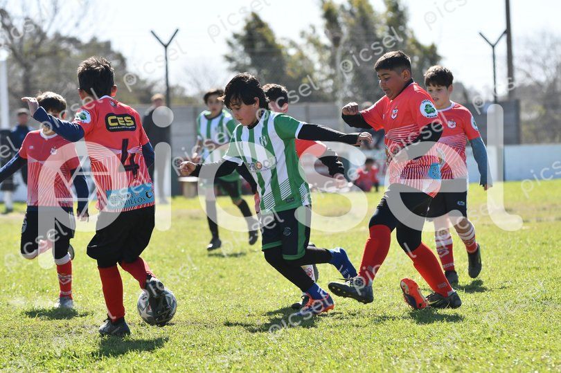 Photo of qh713kmvf82u0fotd1ogpmie