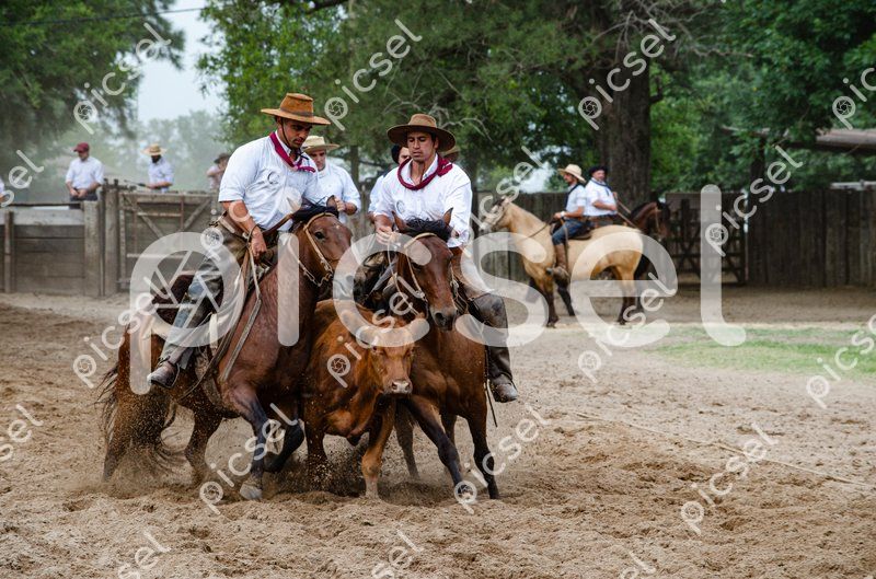 Photo of ld8bqww7pq12fvmqqfdczaca