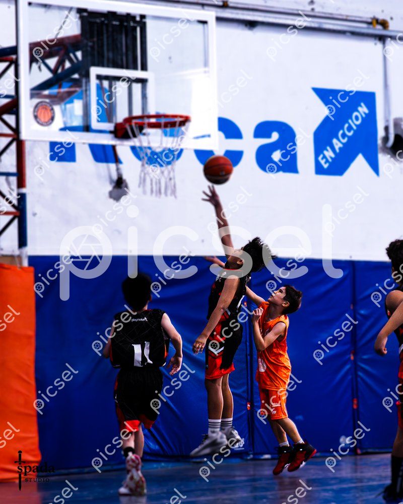 Photo of lpq7en00alingrfe5zxblj4l