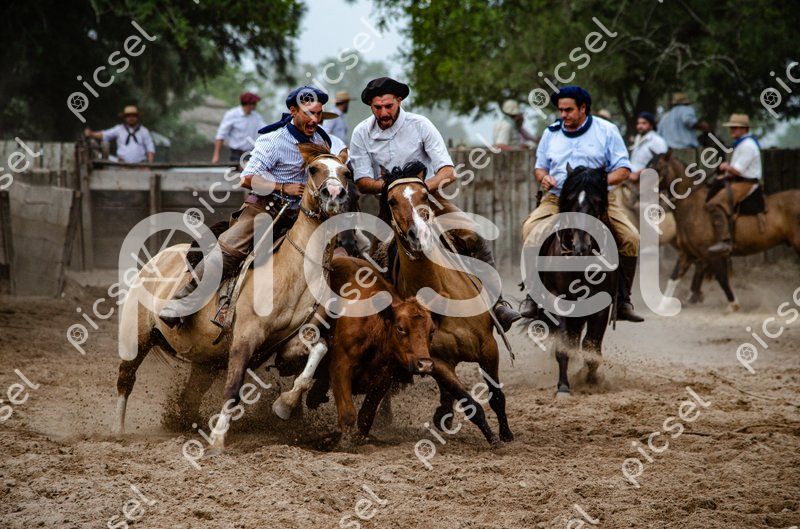 Photo of ptrum1g1qcnm1s8vfmfok7g3