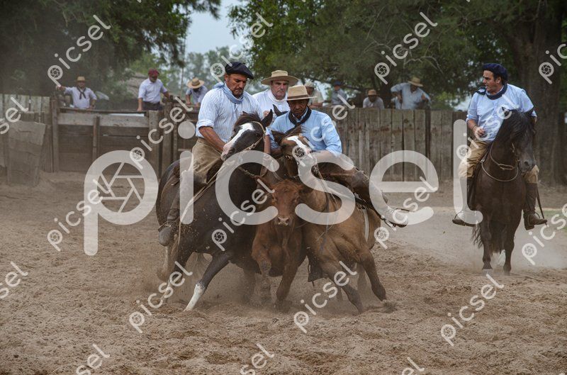 Photo of ypm5207uqyu4qstg9idkrdyw