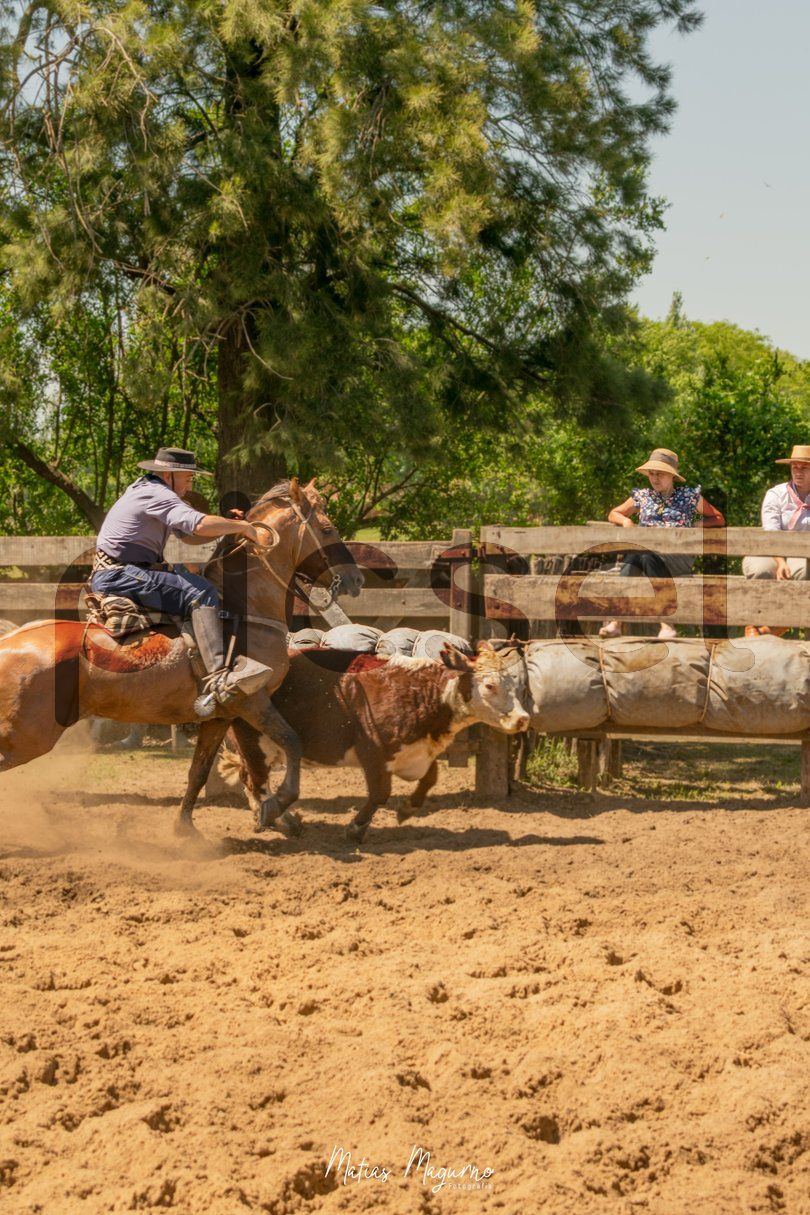 Photo of a4ubm5x84502eyiw2pc4ue91