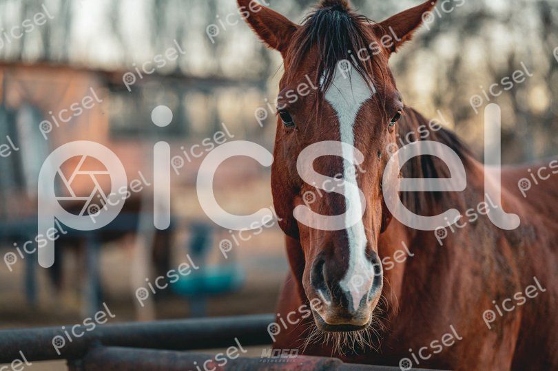 Photo of kceunnyyz1i8kxarbdcsmheb