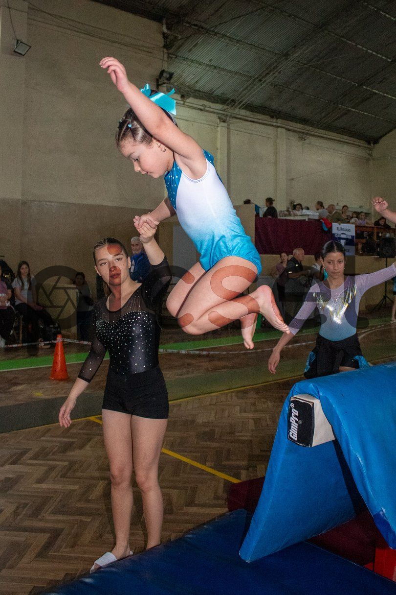 Photo of ion7l3faasqjef915a9wzqmh