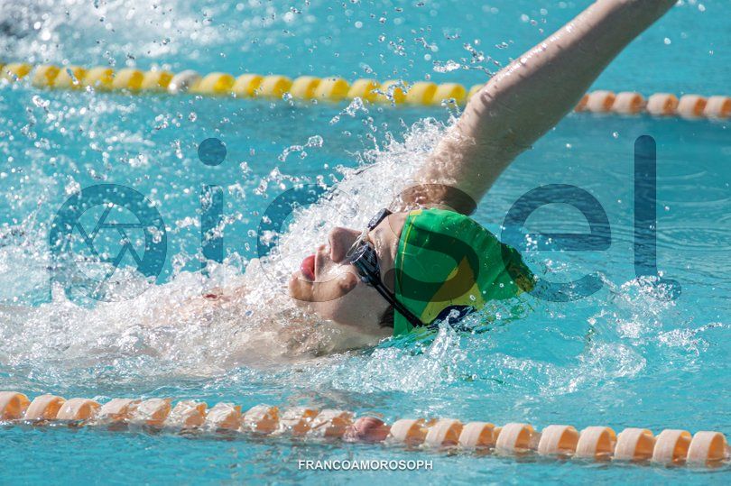 Photo of nxccdn15lhh4xhi5rord6q0a