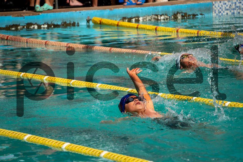 Photo of zn11fof1zcrd59h4epo61014