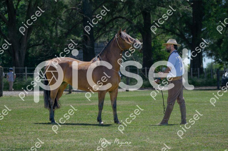 Photo of bjivd6qw3ufq9jpb1hnfc4iv