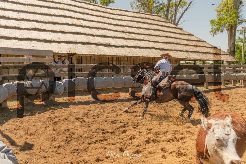 Photo of hkswpnywdrwx4grlynmgfugu