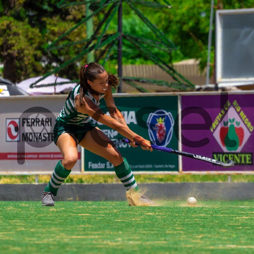 Photo of fyq1lr5t1qau8bi1bx4vn898