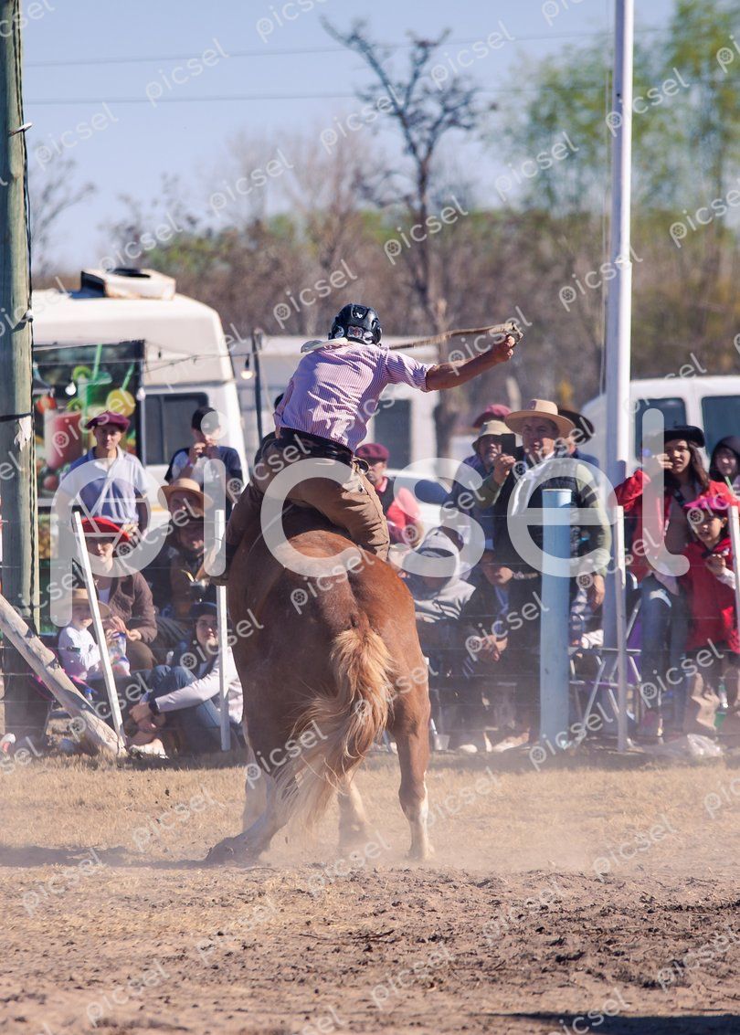 Photo of ot7233dtr9m9bm8kwodh52wy