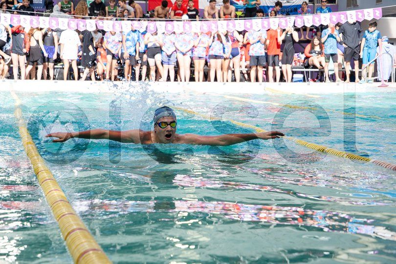 Photo of avya1ckdifnngjw4i8ibciu6