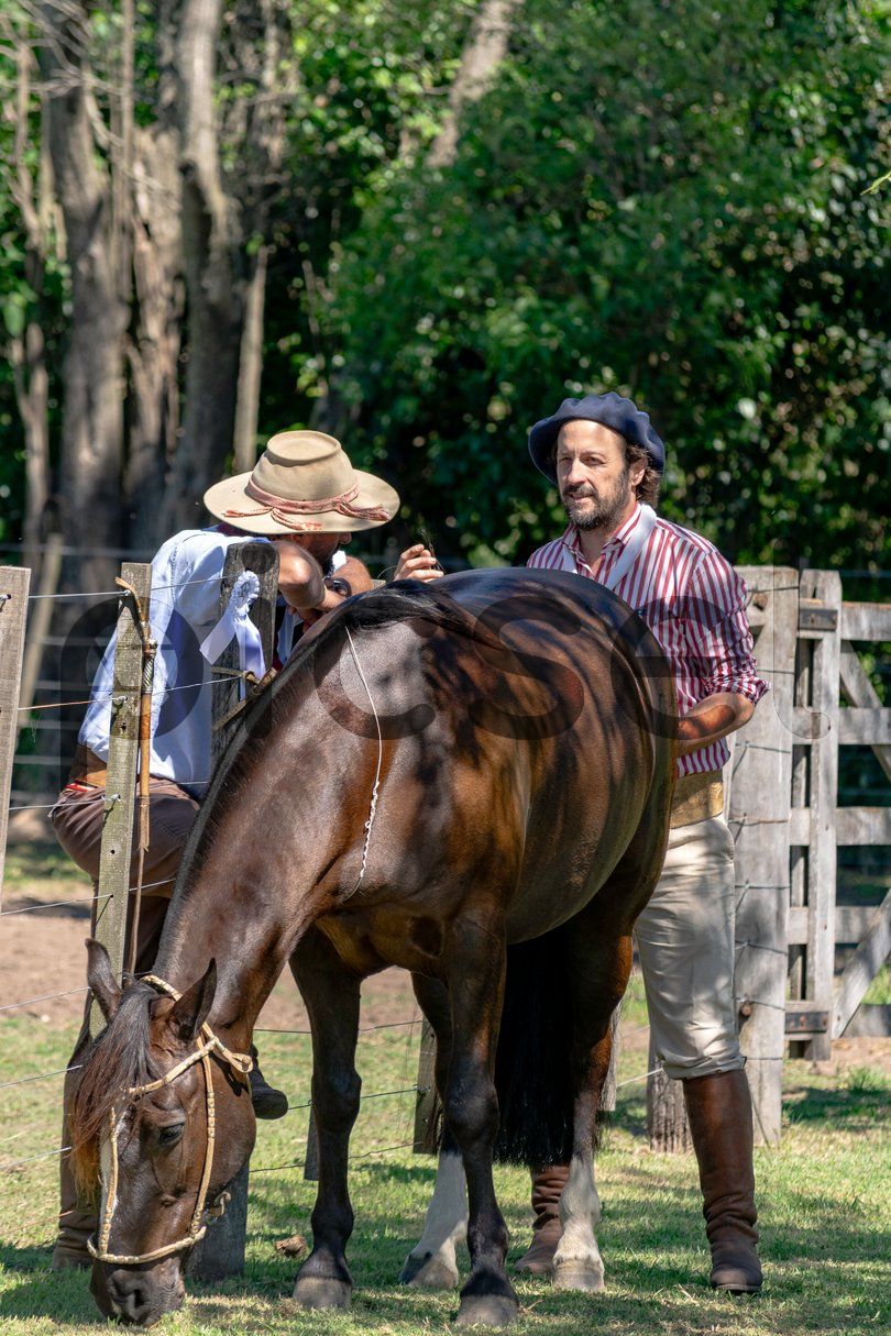 Photo of lsk1vhfsv95m4k6842zzdqhk