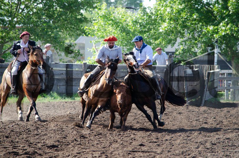 Photo of xpgyt0ok41uwxqhqjg9gimnc