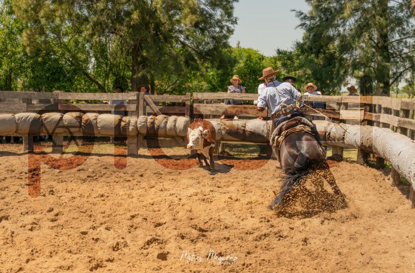 Photo of zclgs04aey90651inczdewk4