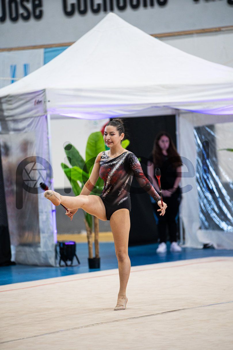 Photo of qmtj3arexshf3hjm1rqsmbhz