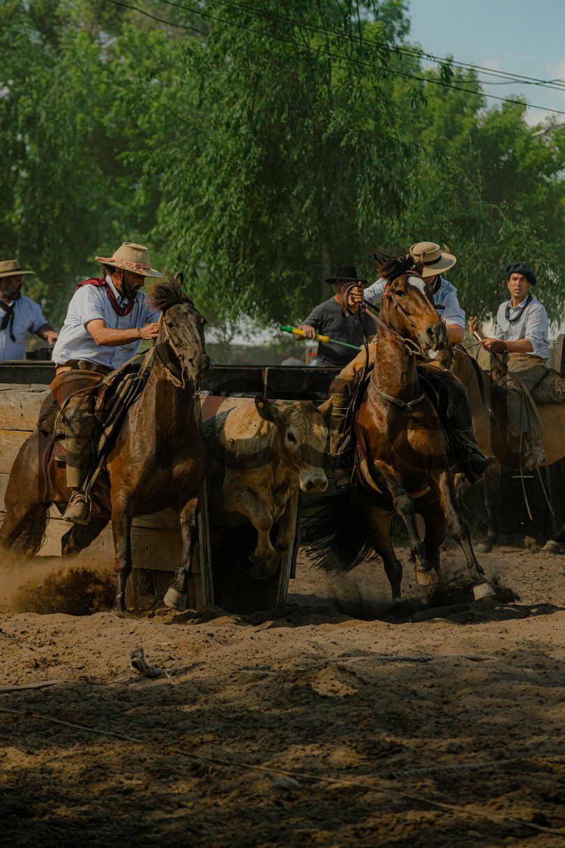 Photo of zvjb48dc0hmb7kgmjv87wdlw