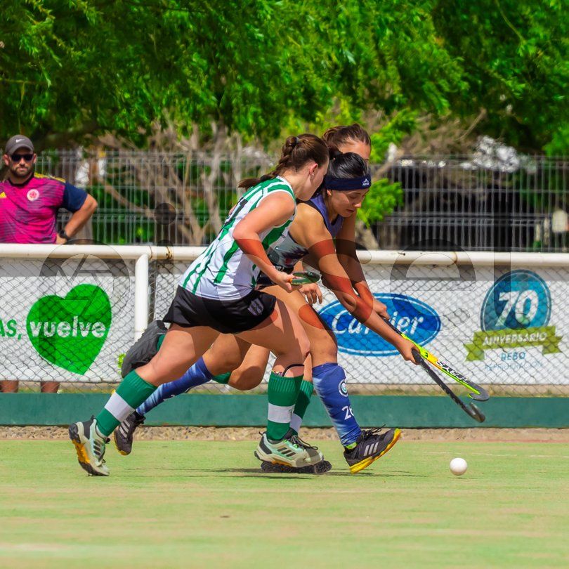 Photo of p2p6yclhuwl2s05sy12hqmf4