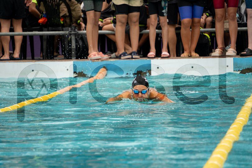 Photo of a1knps169cdlmxgy1hswz4f2