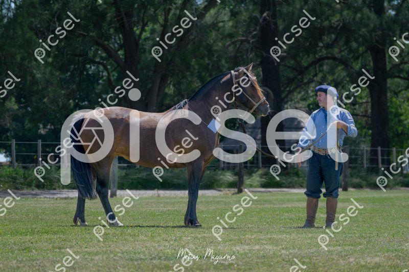 Photo of qdw8avngmzmyk74jgtkuutzs