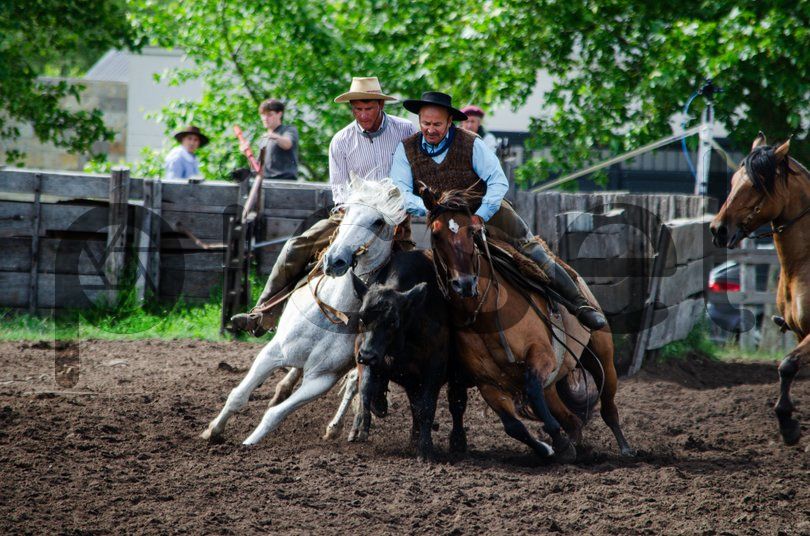 Photo of ne0a15v15oucqodf7cvtw7fc