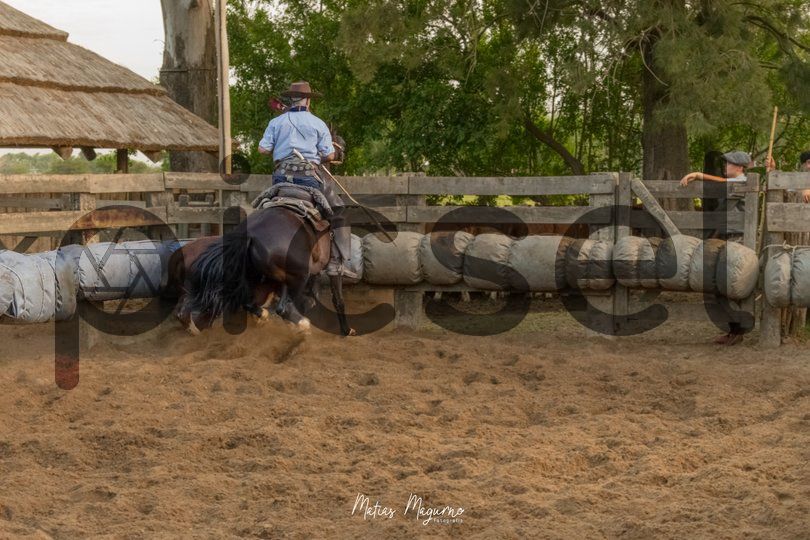 Photo of ykhr15qhc1bpz51qky5ufnzg