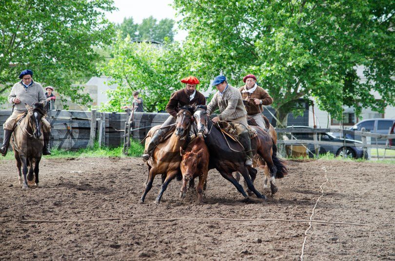 Photo of hcf2ev6ct3irua0hpc8klqi4