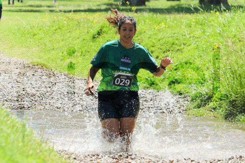 Photo of m4ld569tp5vn8ruu7l21djto