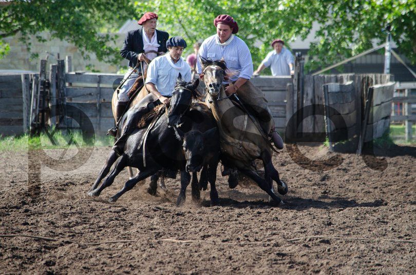 Photo of y62knawkywarb9dsifz03y51