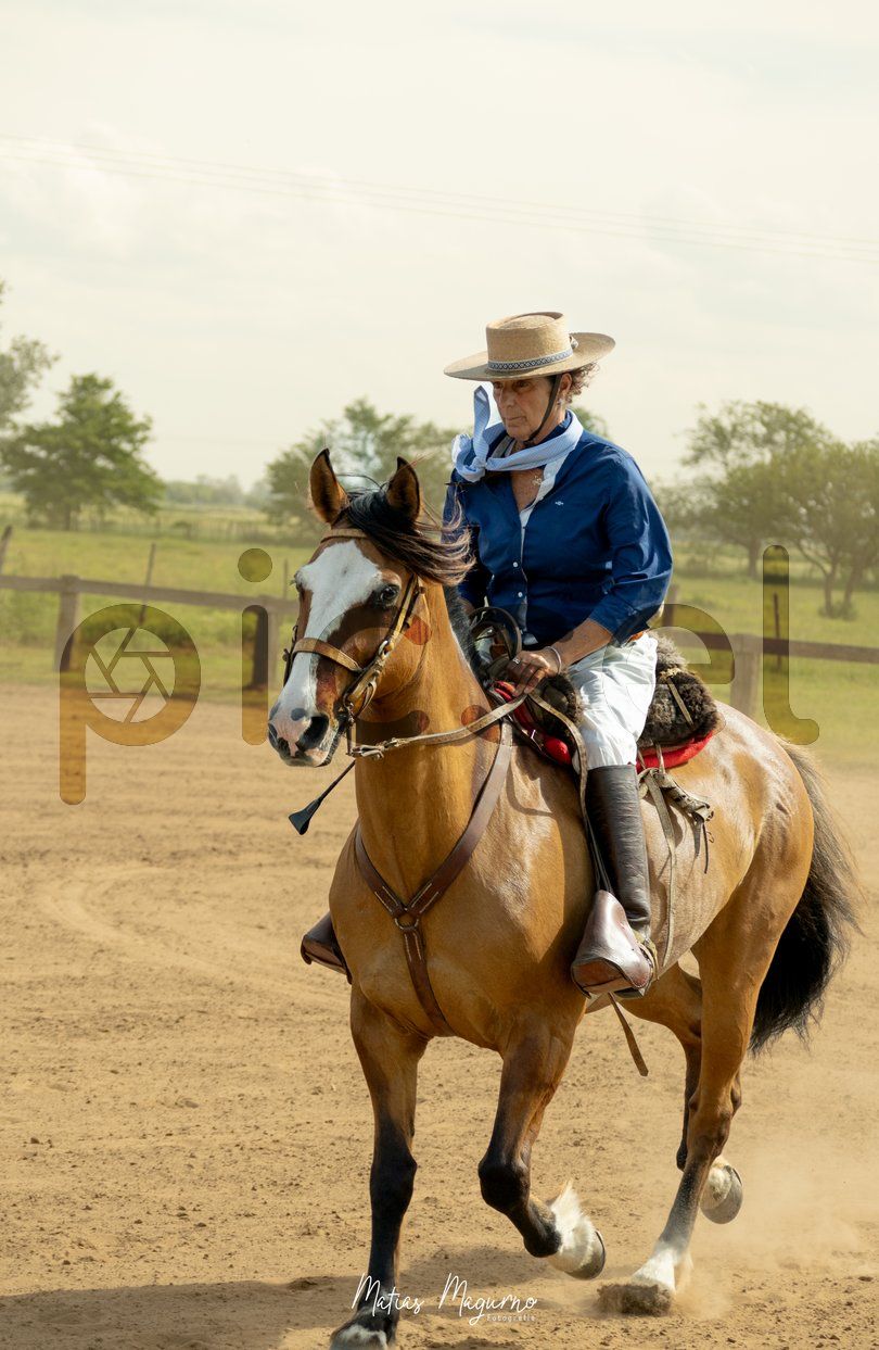 Photo of n4ri7wtepnq8pifi3u7njyz4